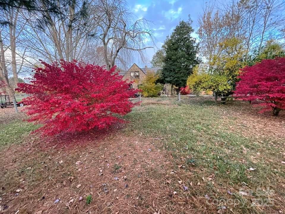 60 Cedar Hill Road Asheville NC 28806