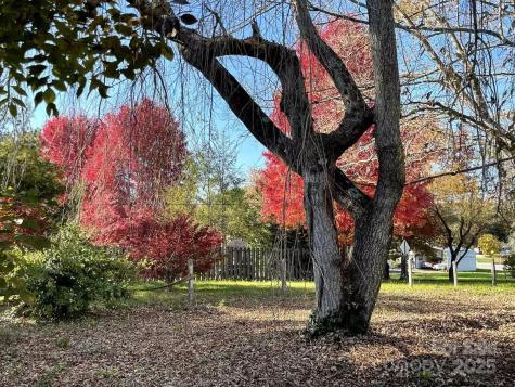 60 Cedar Hill Road Asheville NC 28806