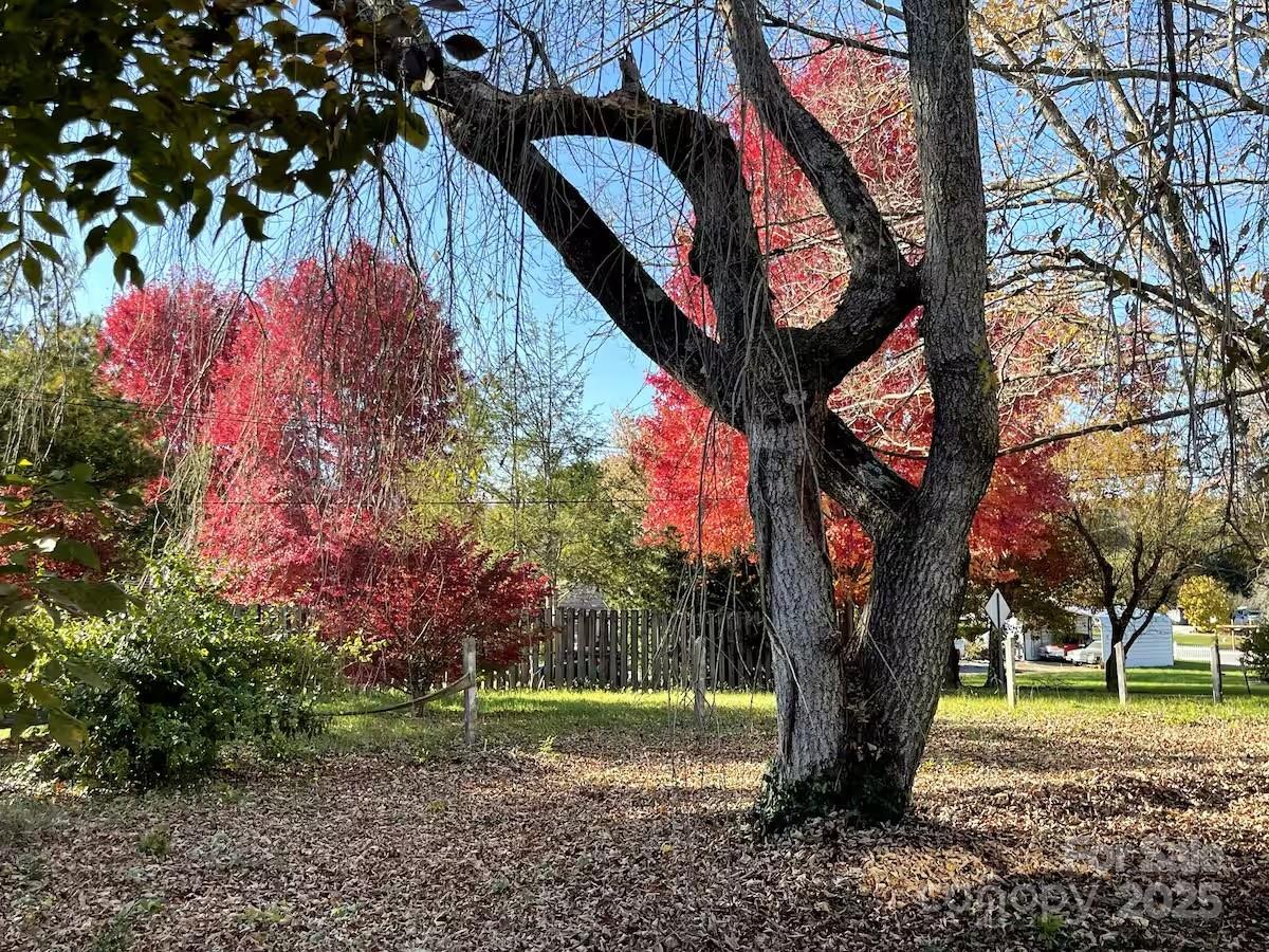 60 Cedar Hill Road Asheville NC 28806