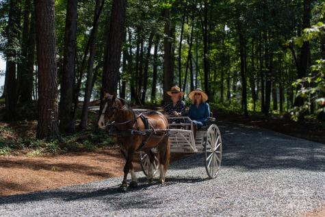 3759 Nc 24/27 Highway Cameron NC 28326