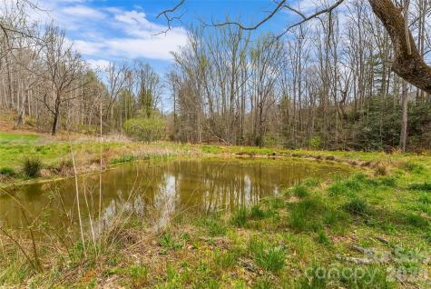 628 Brush Creek Road Fairview NC 28730