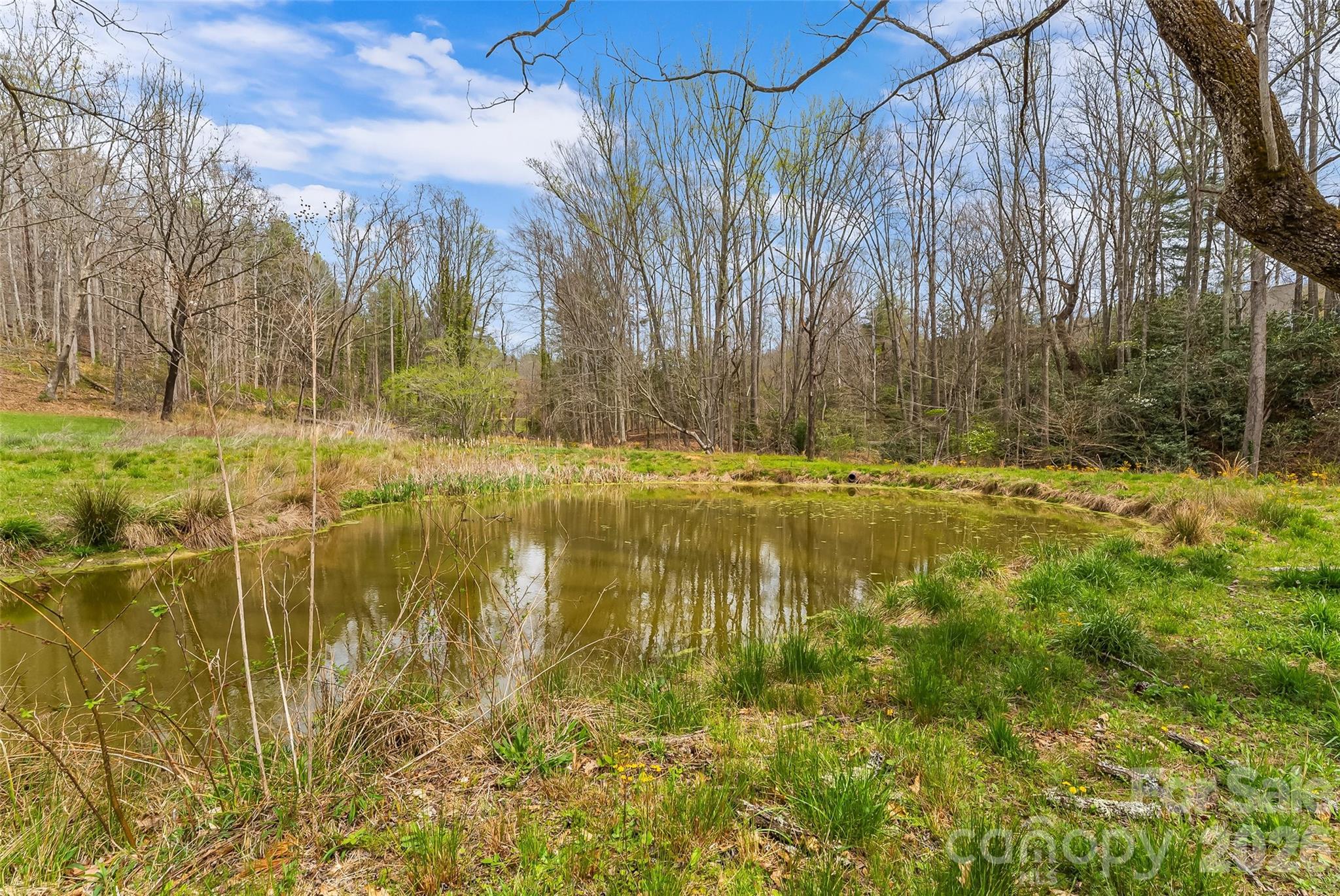628 Brush Creek Road Fairview NC 28730