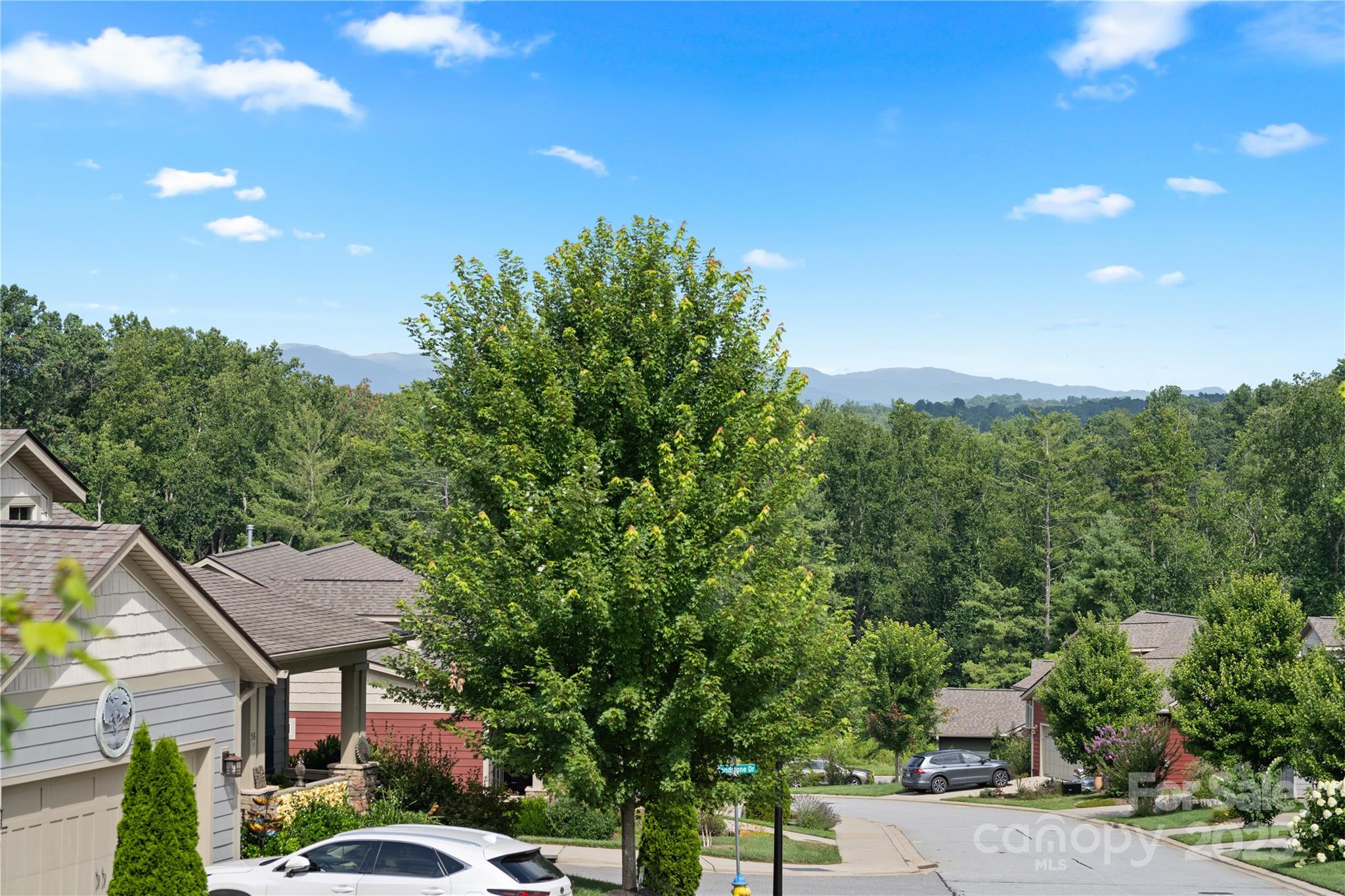 53 Loftin Street Weaverville NC 28787