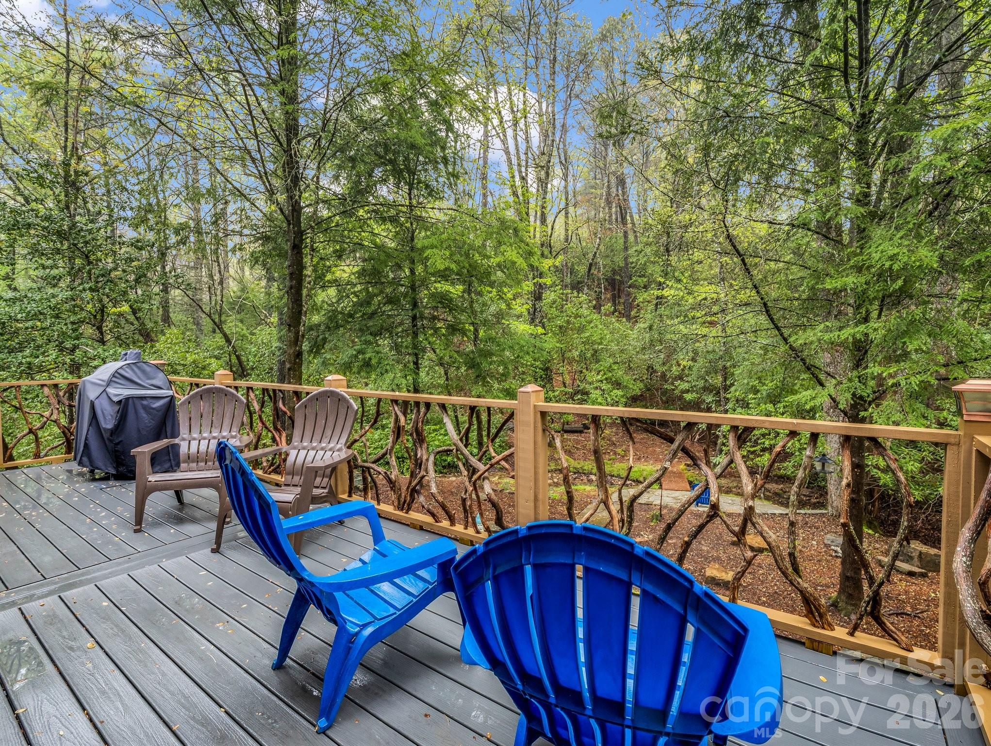 1040 Soquili Drive Brevard NC 28712