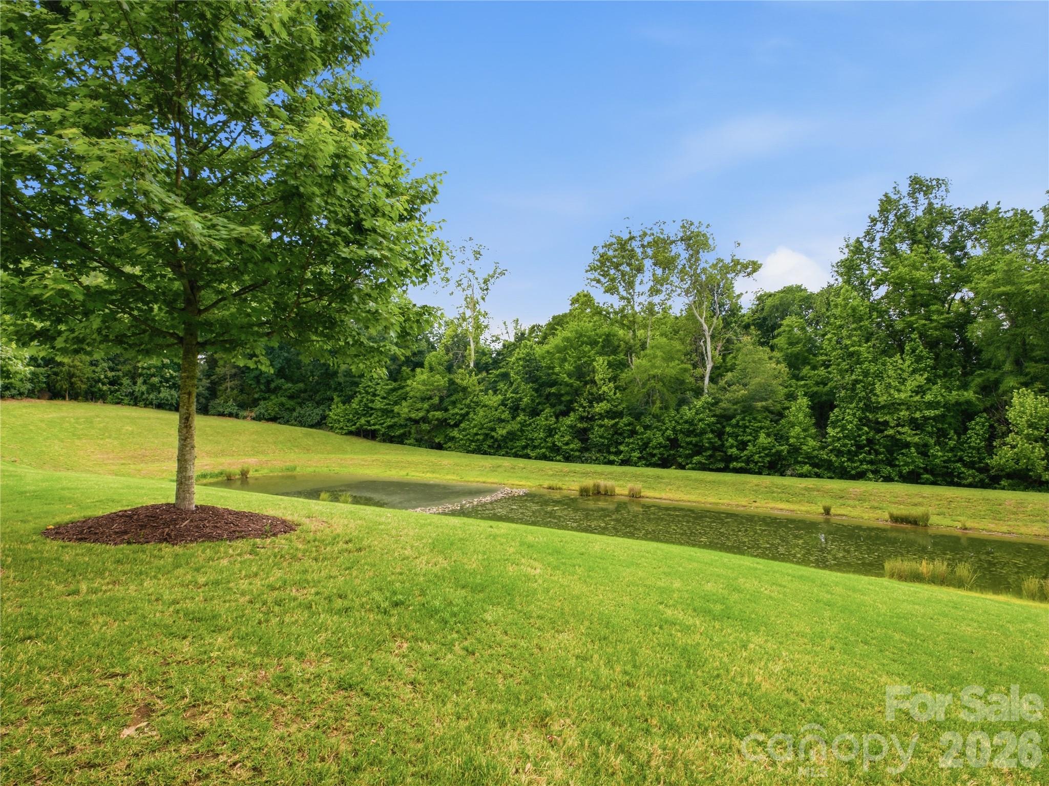 13034 Horned Lark Drive Charlotte NC 28278