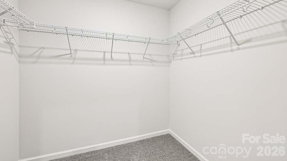 5035 Blue Serenity Court Denver NC 28037