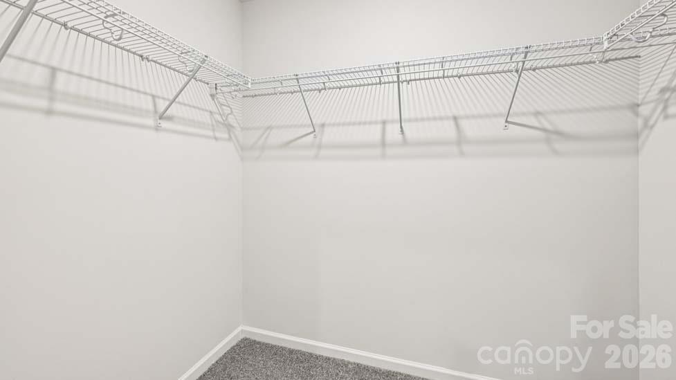 5035 Blue Serenity Court Denver NC 28037