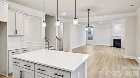 5035 Blue Serenity Court Denver NC 28037