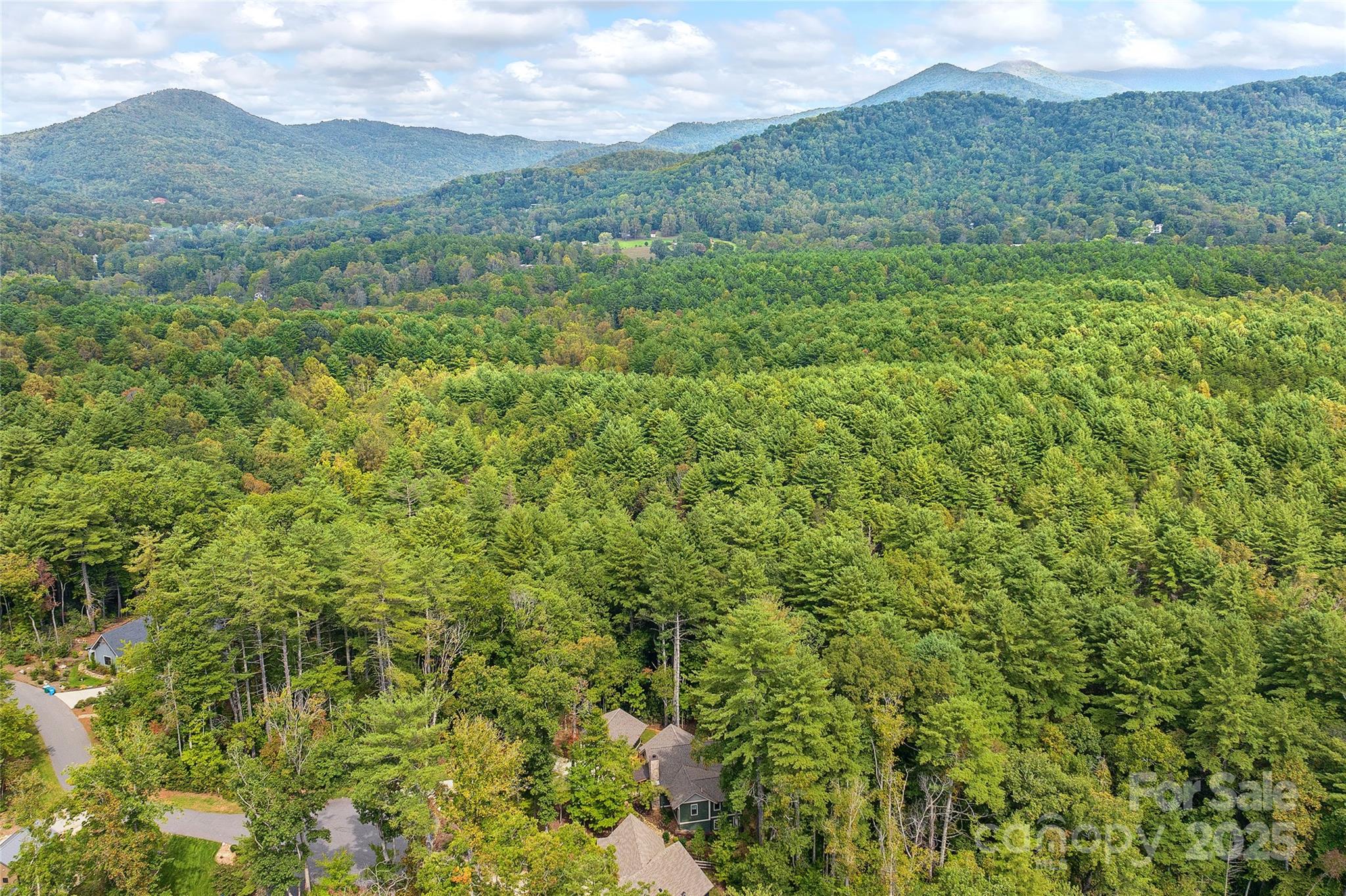 44 Hawberry Court Asheville NC 28805