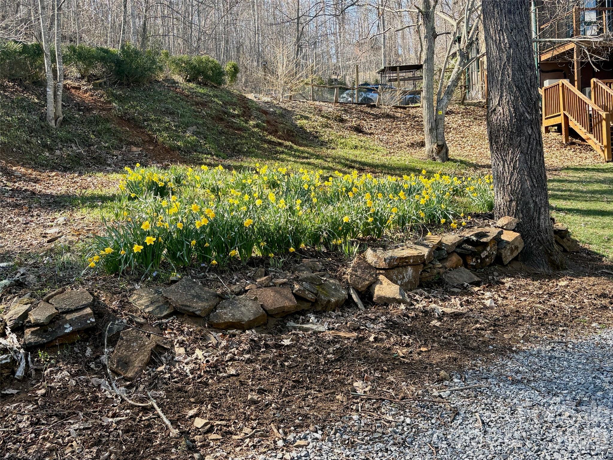 262 Azalea Hills Lane Spruce Pine NC 28777