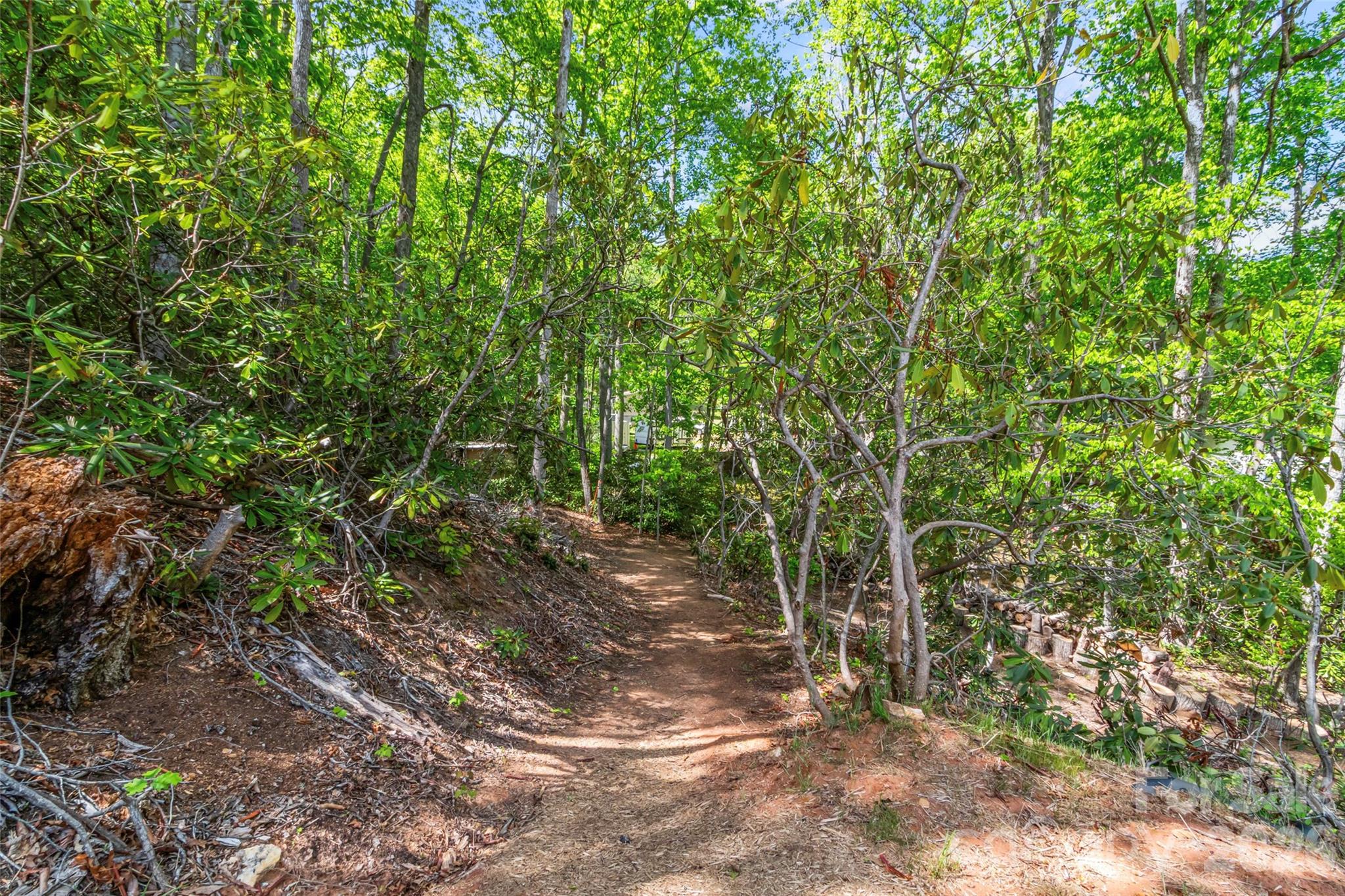 293 Spar Mill Road Burnsville NC 28714