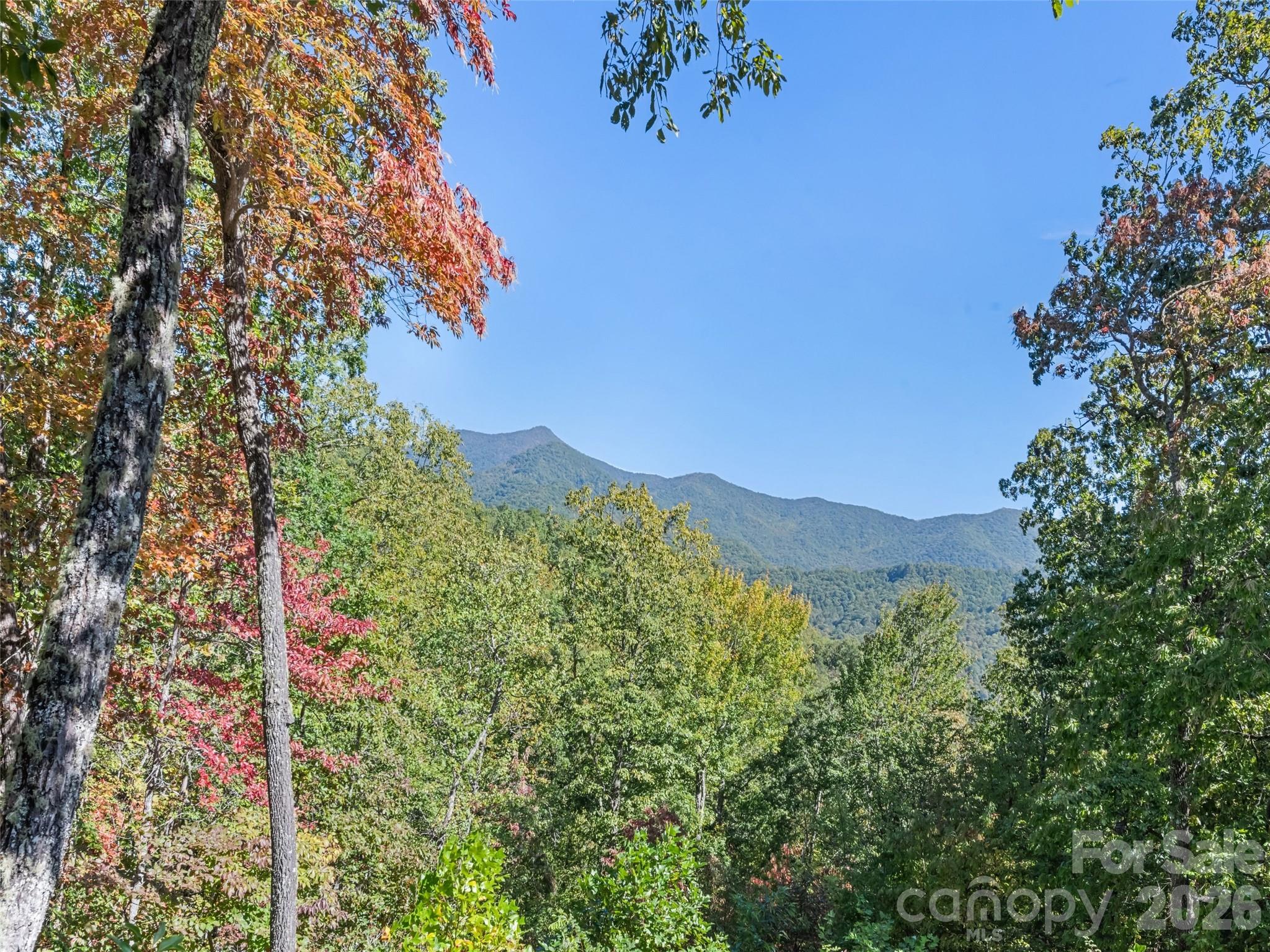 1635 Quest Ridge Sylva NC 28779