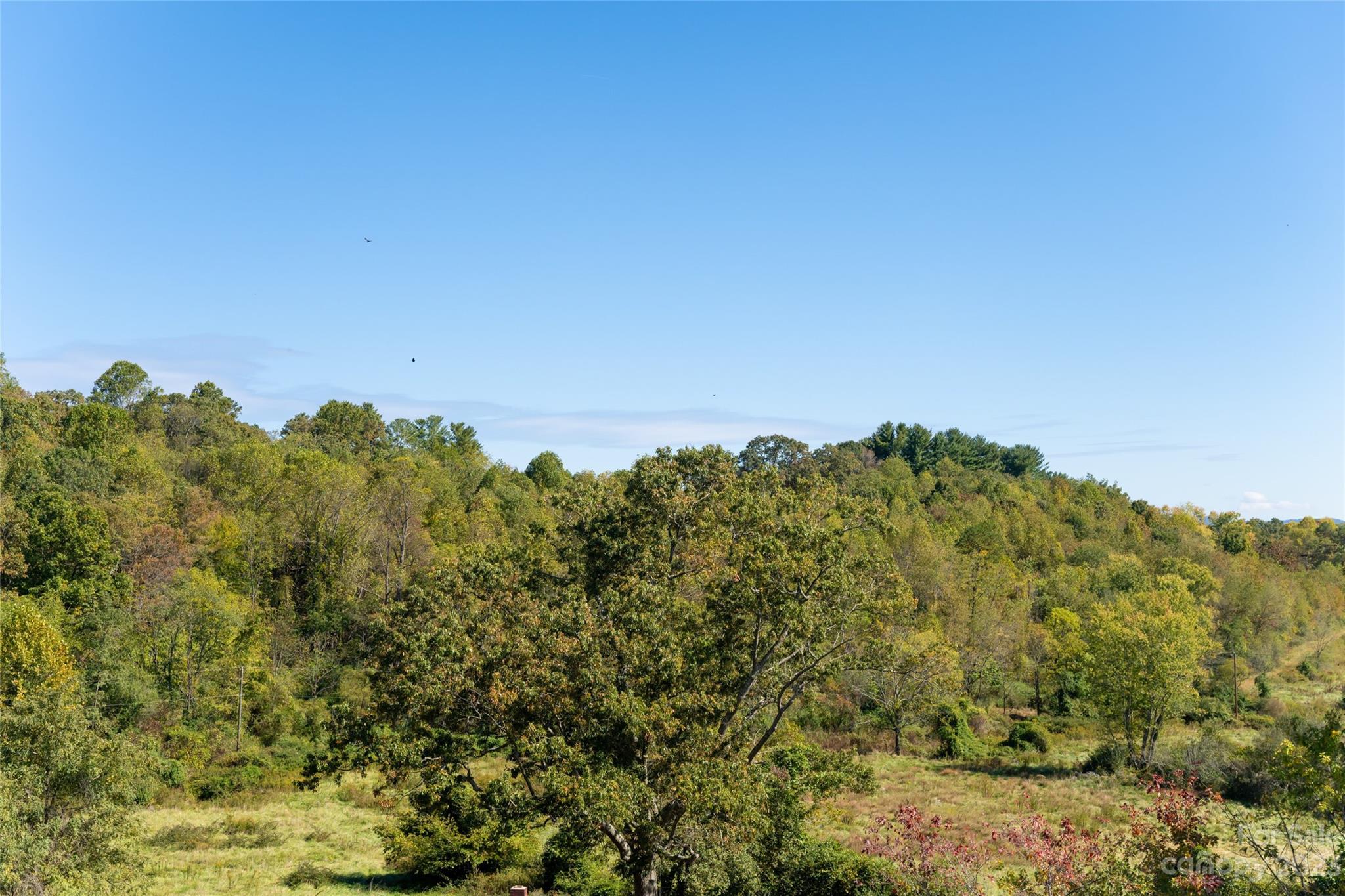 202 Marathon Lane Candler NC 28715