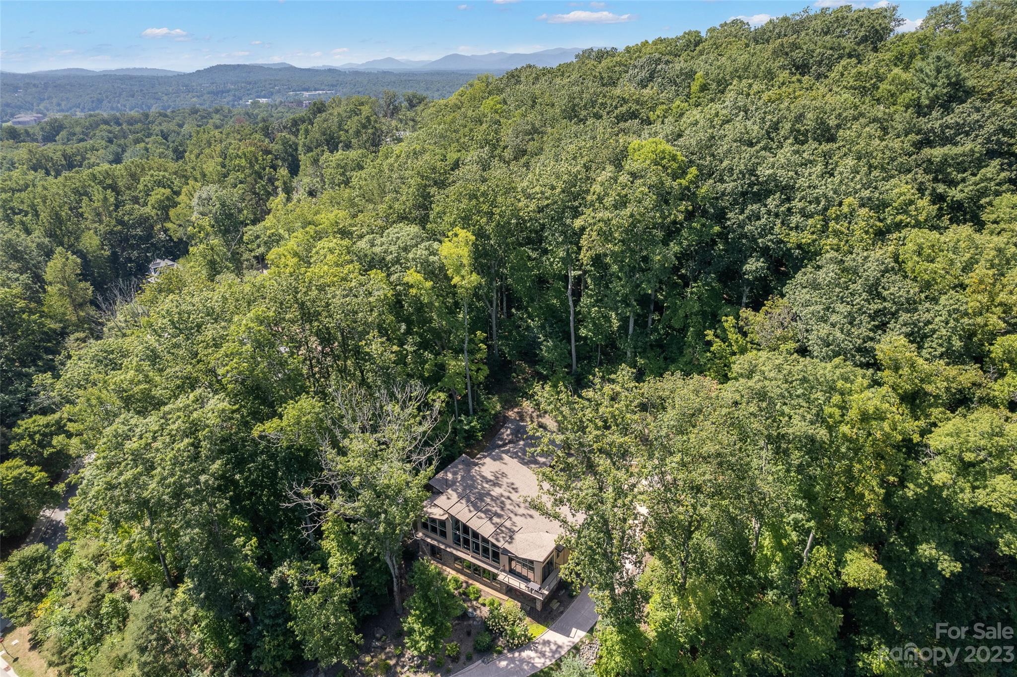 4 La Grange Drive Asheville NC 28805