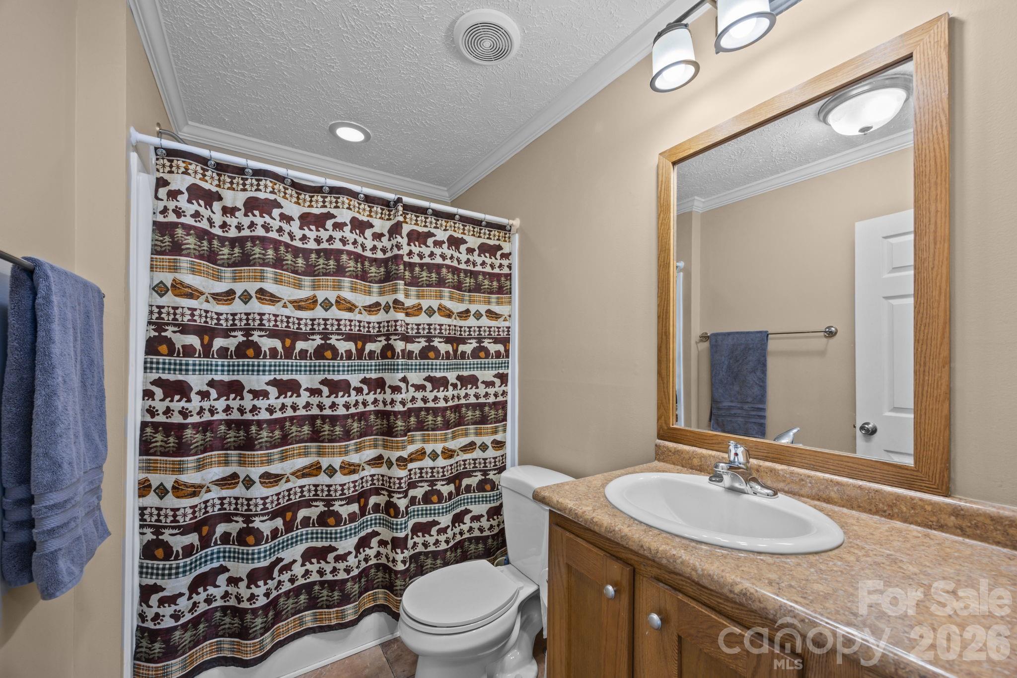 193 Tipstill Cove Waynesville NC 28786