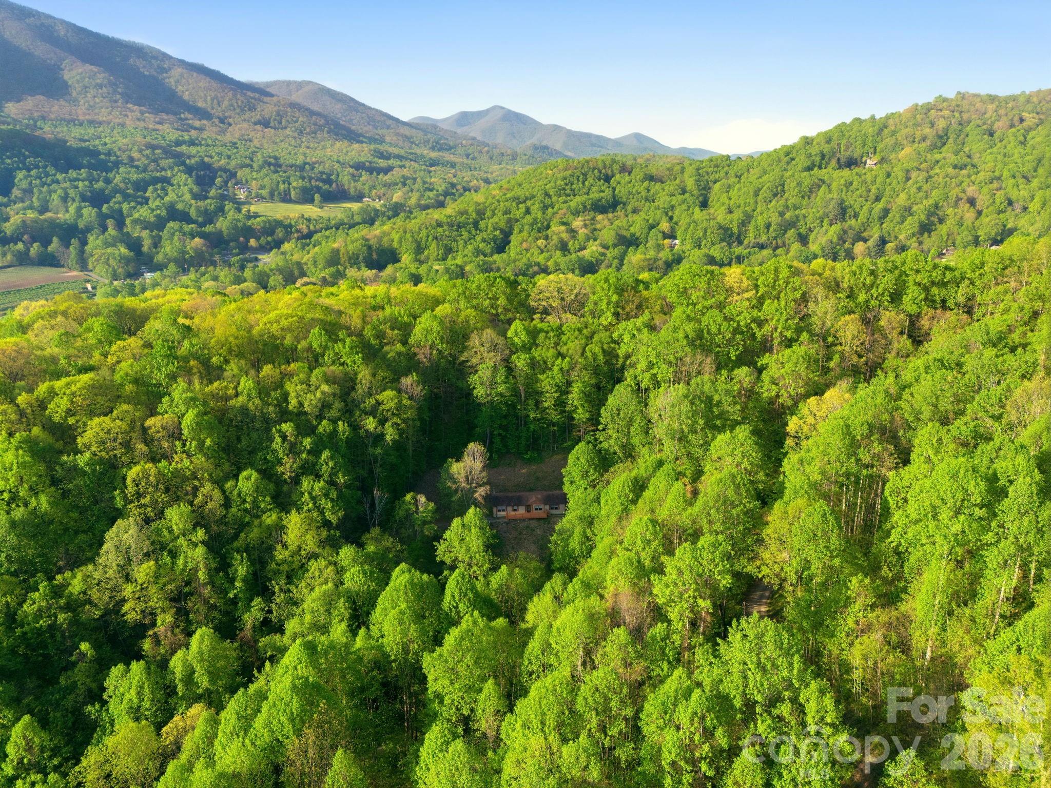 193 Tipstill Cove Waynesville NC 28786