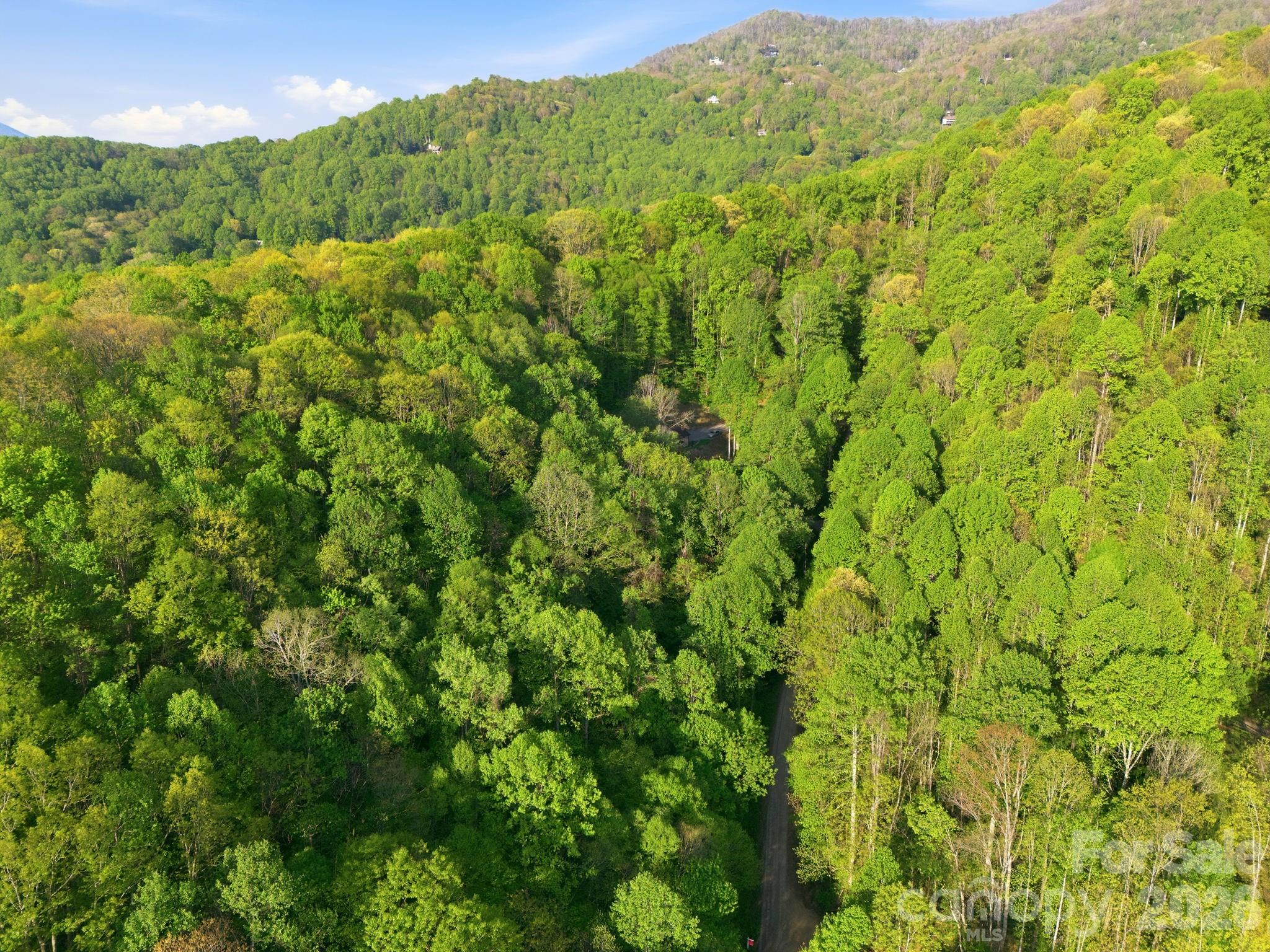 193 Tipstill Cove Waynesville NC 28786