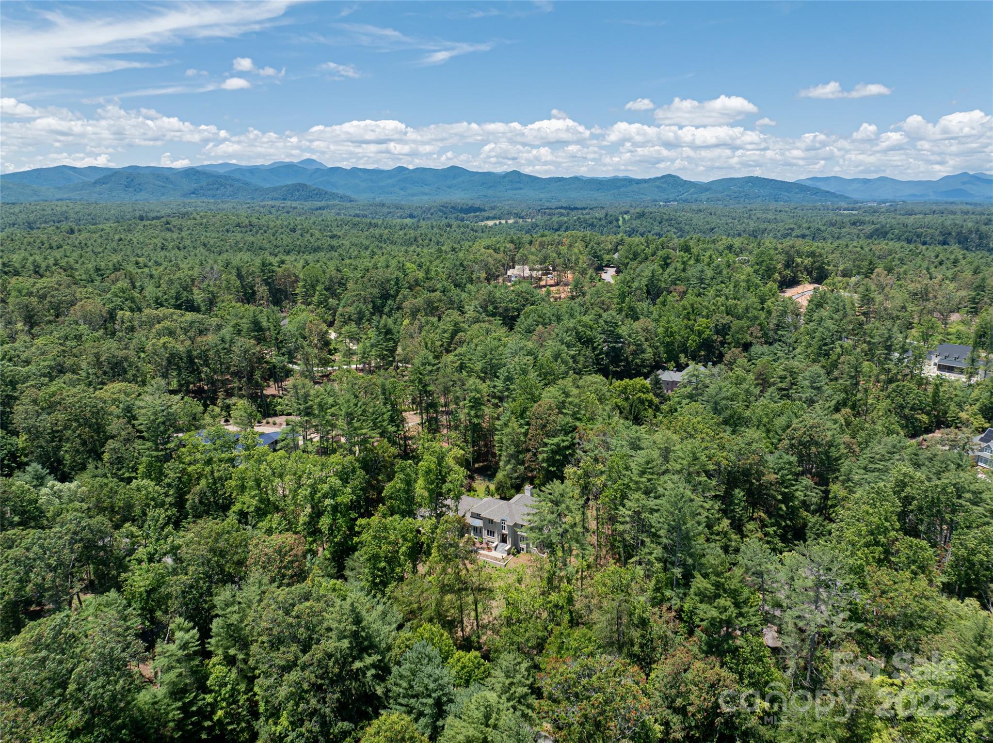 3 Fir Tree Lane Asheville NC 28803