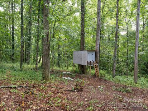 239 Bonnies Meadow Place Asheville NC 28806
