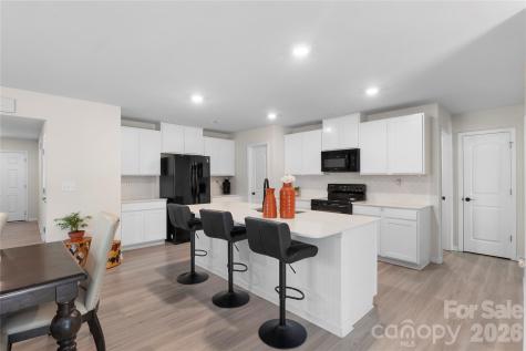 445 Marinna Joy Circle Rockwell NC 28138