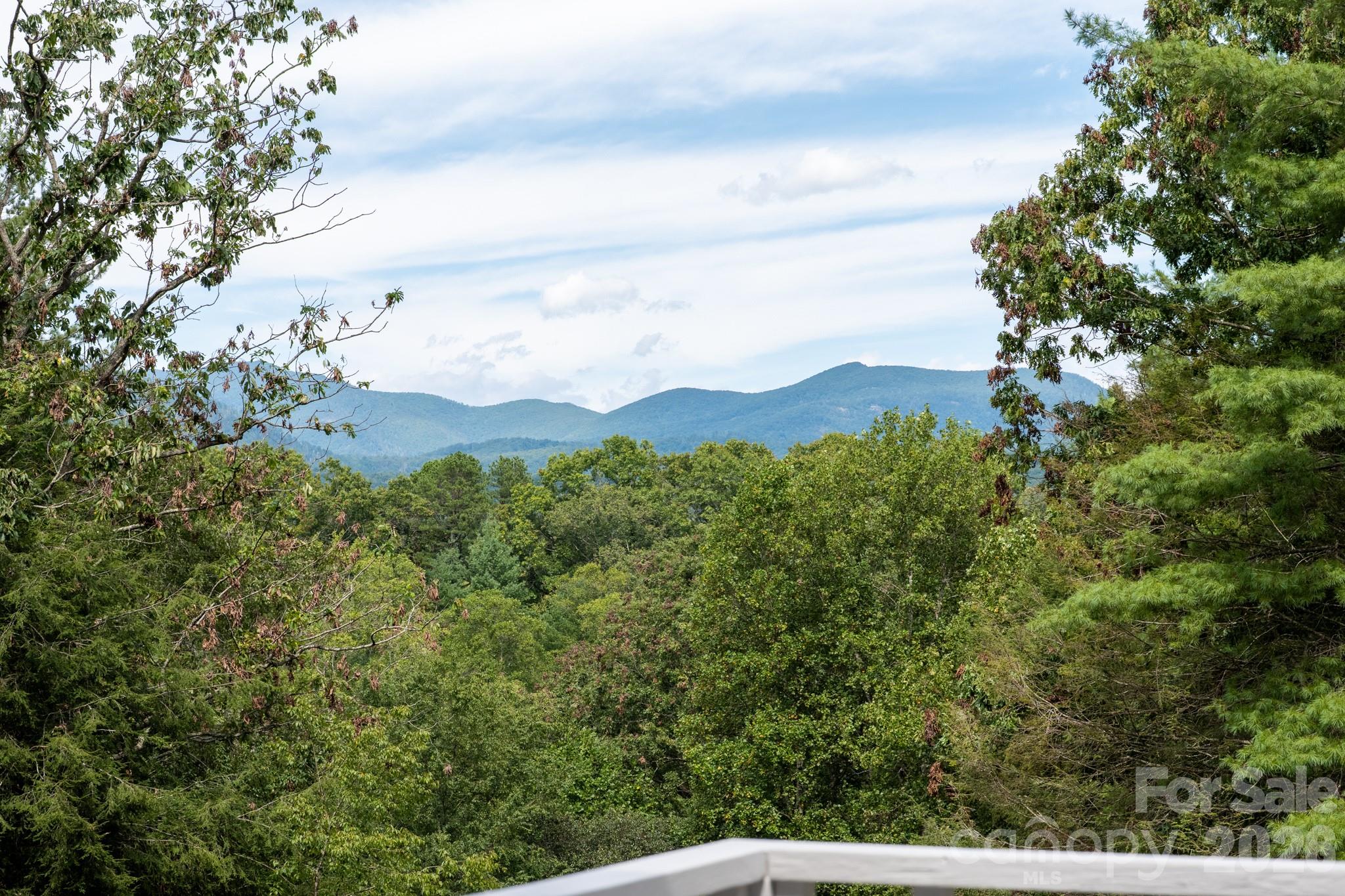 50 Springwood Drive Asheville NC 28805