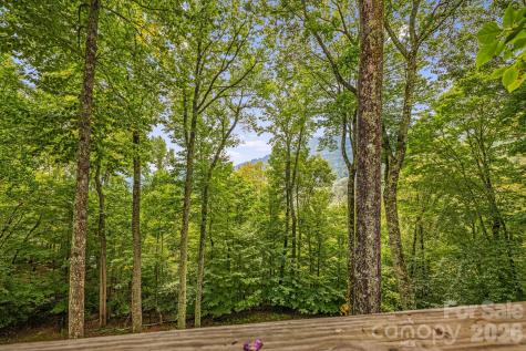 215 Goldenleaf Road Mars Hill NC 28754