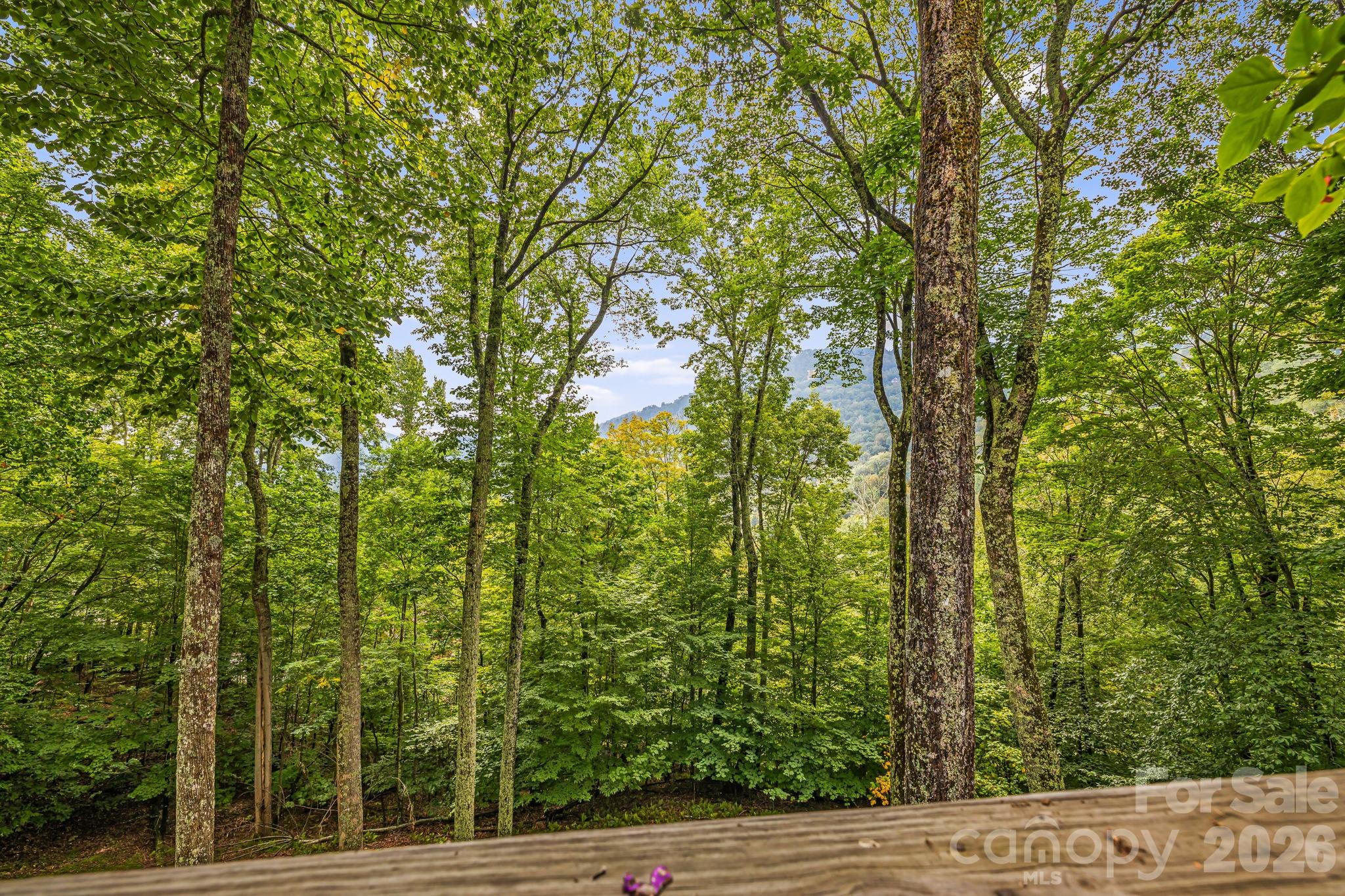 215 Goldenleaf Road Mars Hill NC 28754
