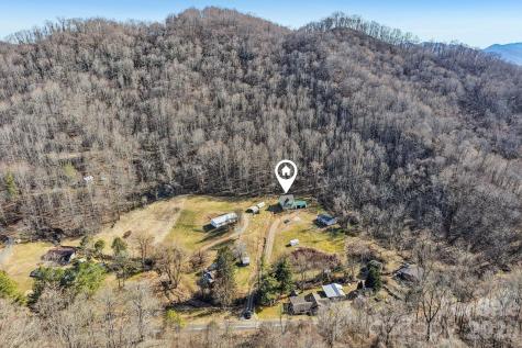 530 Wilson Cove Road Canton NC 28716