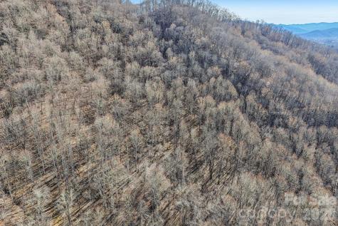 530 Wilson Cove Road Canton NC 28716