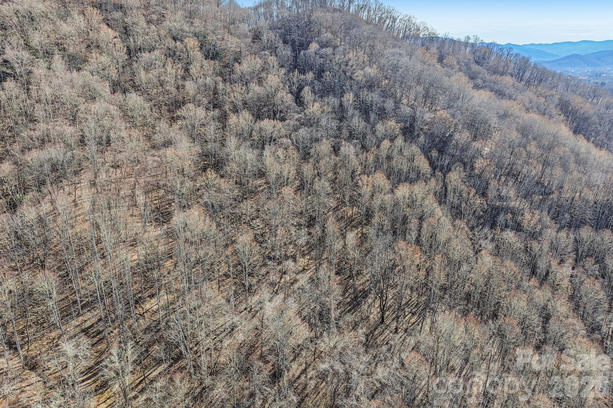 530 Wilson Cove Road Canton NC 28716