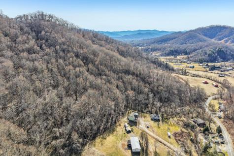 530 Wilson Cove Road Canton NC 28716