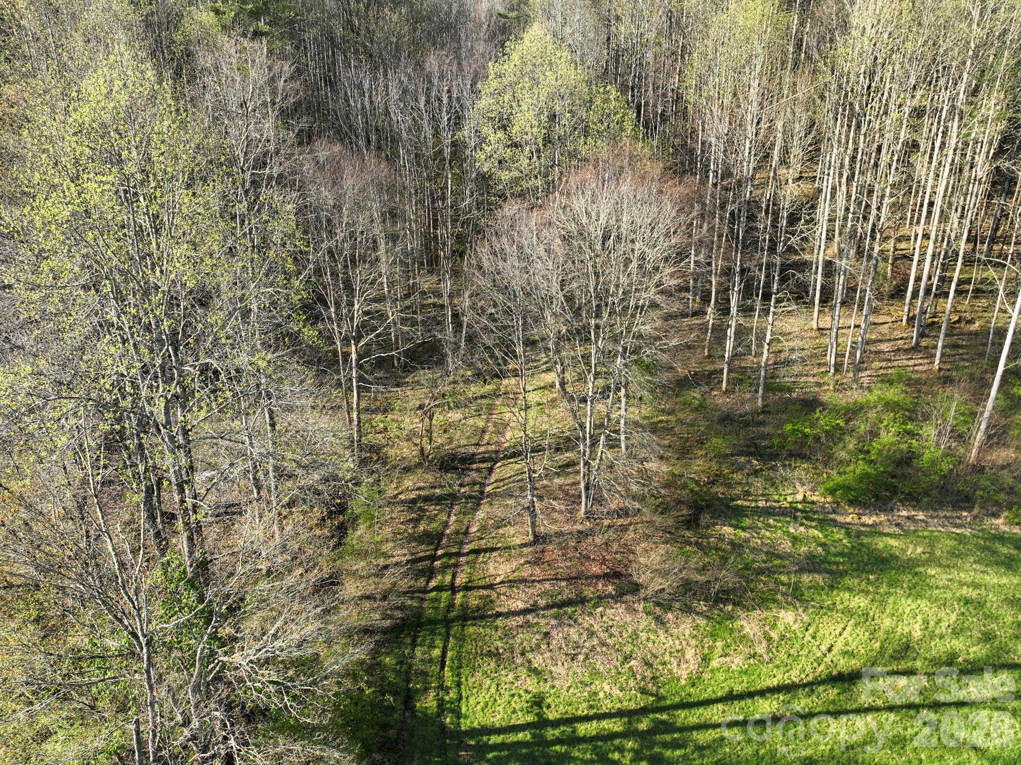 3041 Bald Mountain Road Burnsville NC 28714
