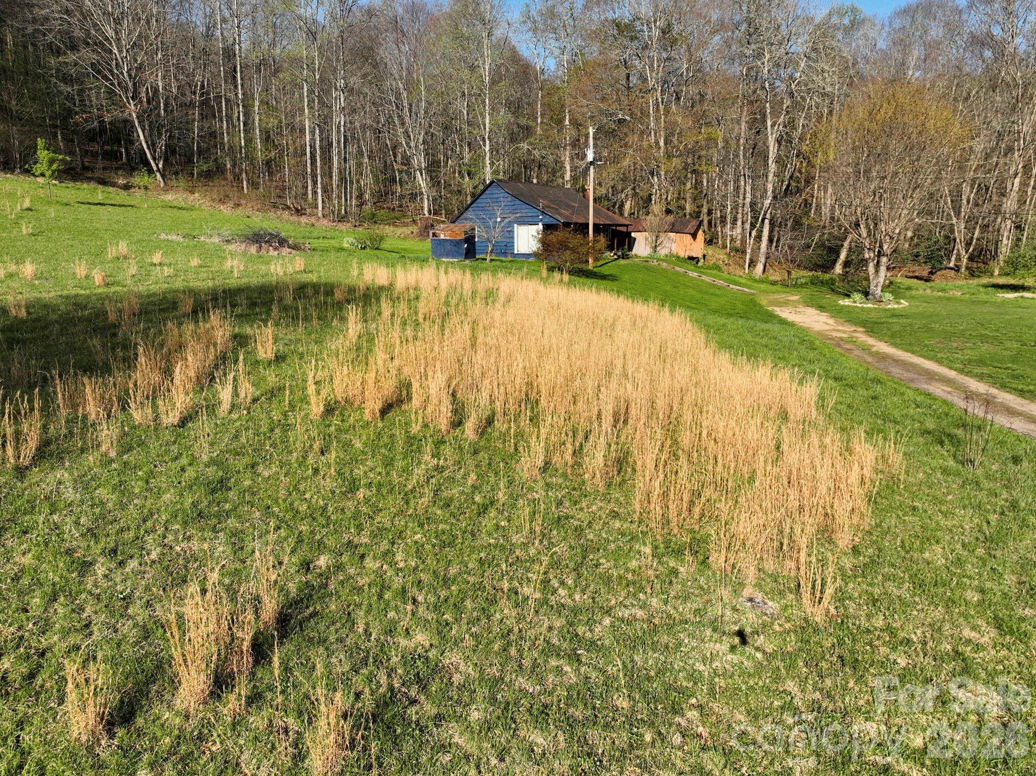 3041 Bald Mountain Road Burnsville NC 28714
