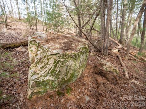 9999 Cedar Hill Drive Asheville NC 28803