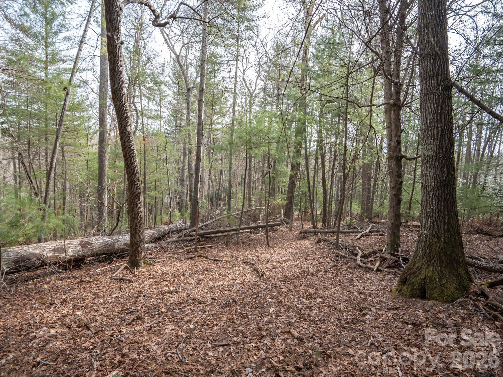 9999 Cedar Hill Drive Asheville NC 28803