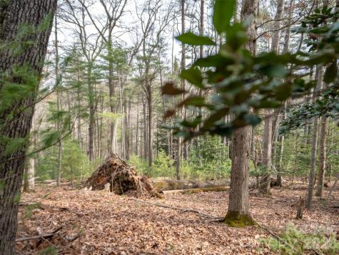 9999 Cedar Hill Drive Asheville NC 28803