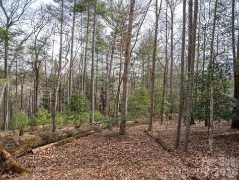 9999 Cedar Hill Drive Asheville NC 28803