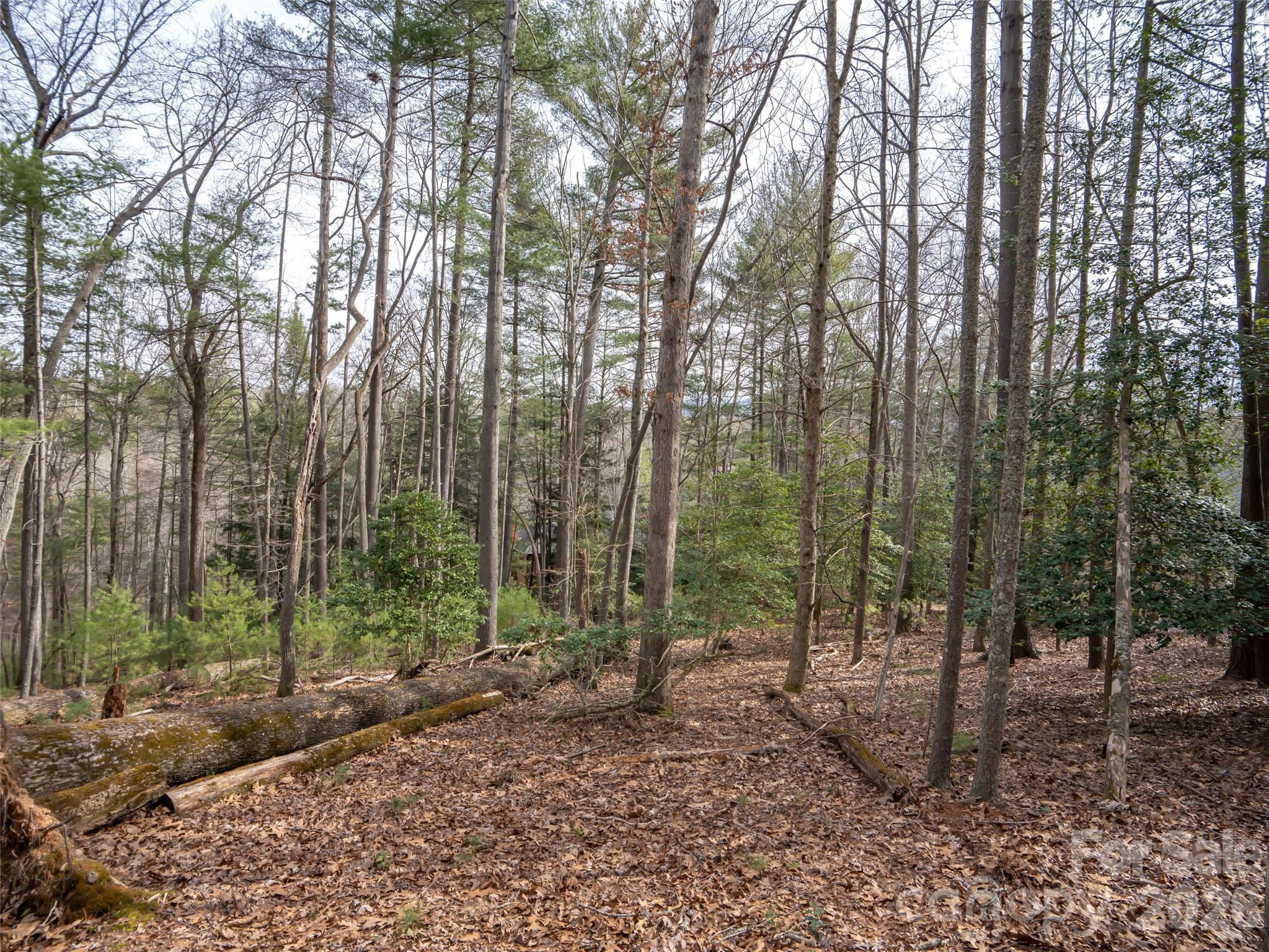 9999 Cedar Hill Drive Asheville NC 28803