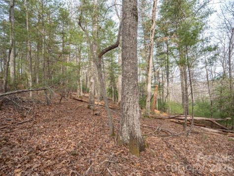 9999 Cedar Hill Drive Asheville NC 28803