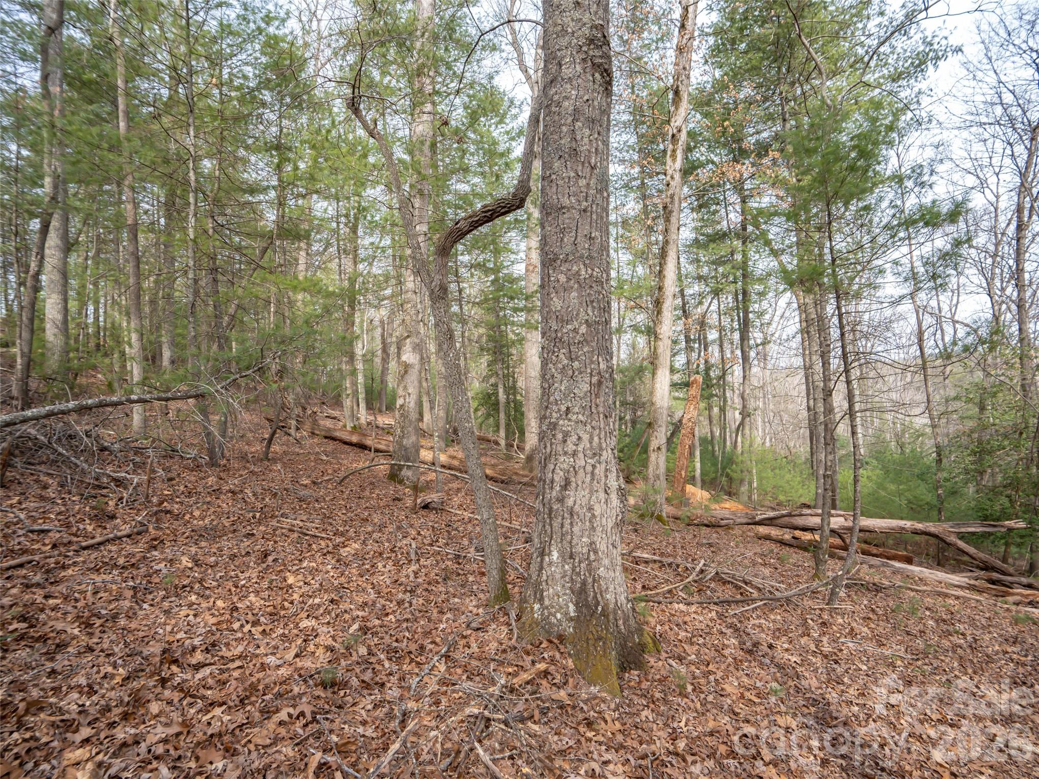 9999 Cedar Hill Drive Asheville NC 28803