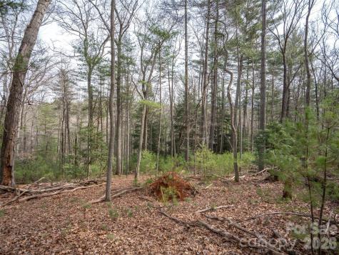 9999 Cedar Hill Drive Asheville NC 28803