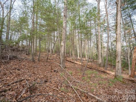 9999 Cedar Hill Drive Asheville NC 28803