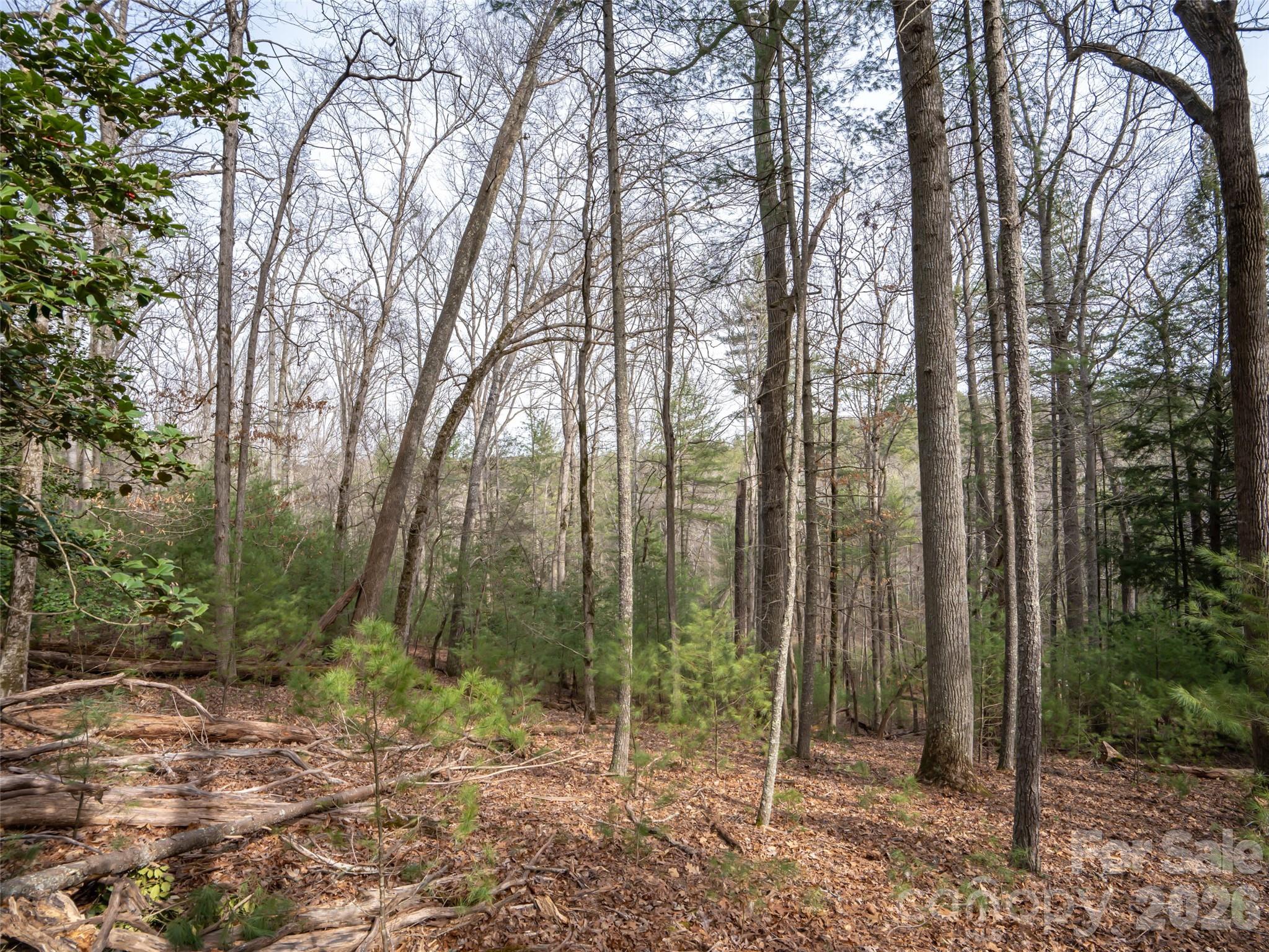 9999 Cedar Hill Drive Asheville NC 28803