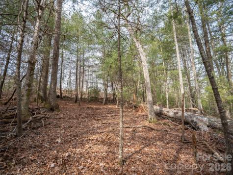 9999 Cedar Hill Drive Asheville NC 28803