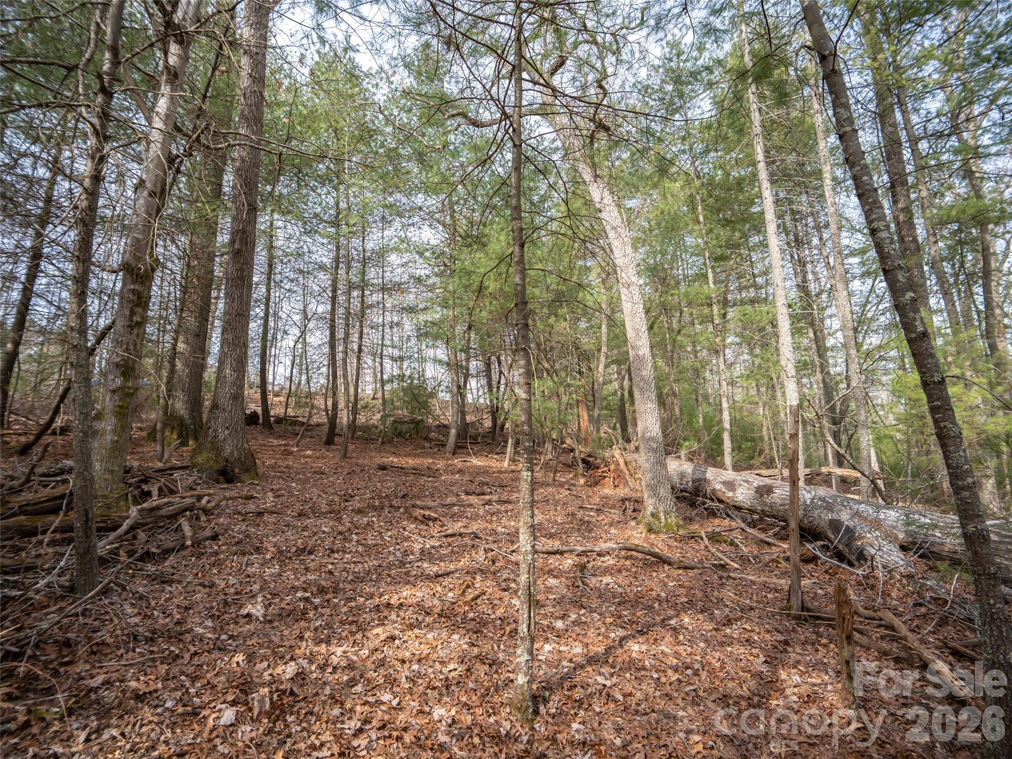 9999 Cedar Hill Drive Asheville NC 28803