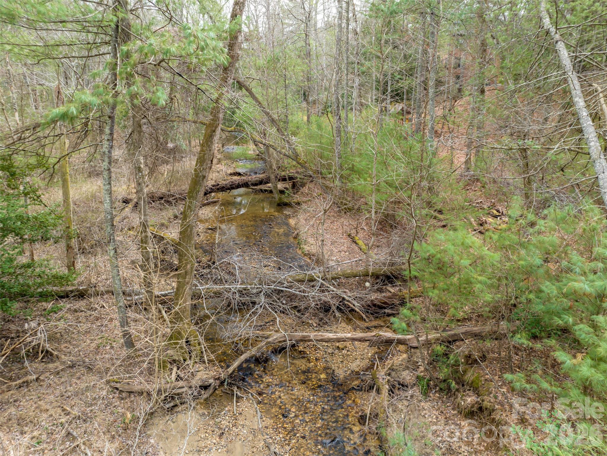 9999 Cedar Hill Drive Asheville NC 28803