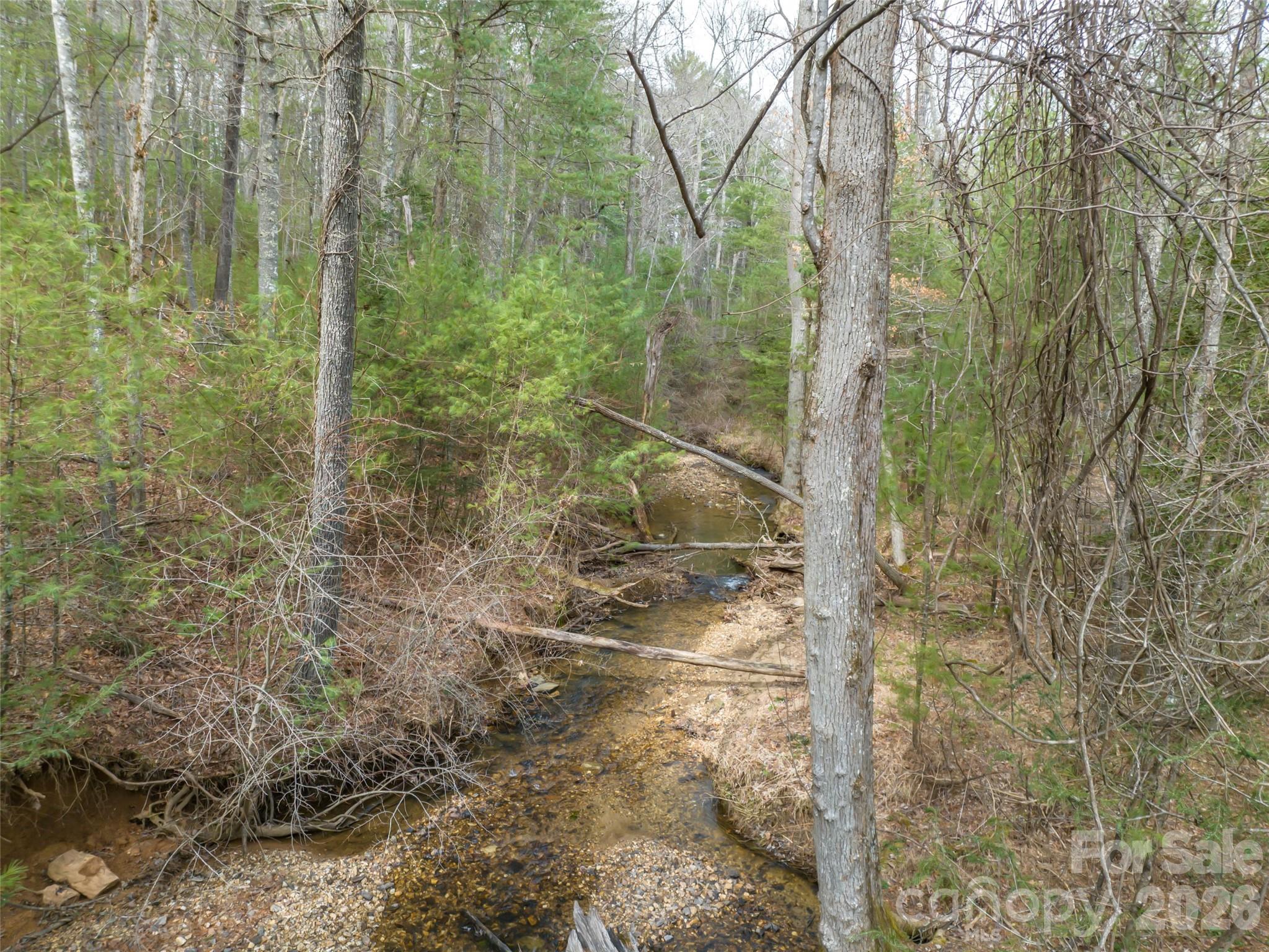 9999 Cedar Hill Drive Asheville NC 28803