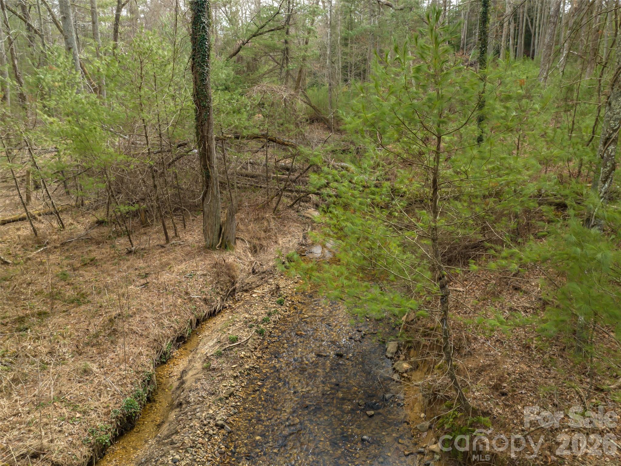 9999 Cedar Hill Drive Asheville NC 28803