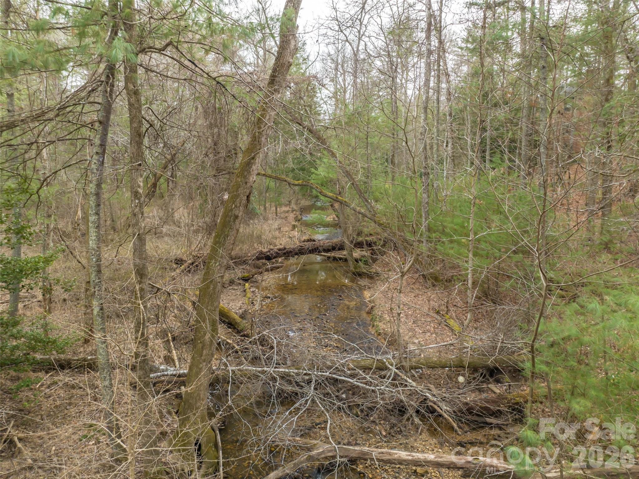 9999 Cedar Hill Drive Asheville NC 28803