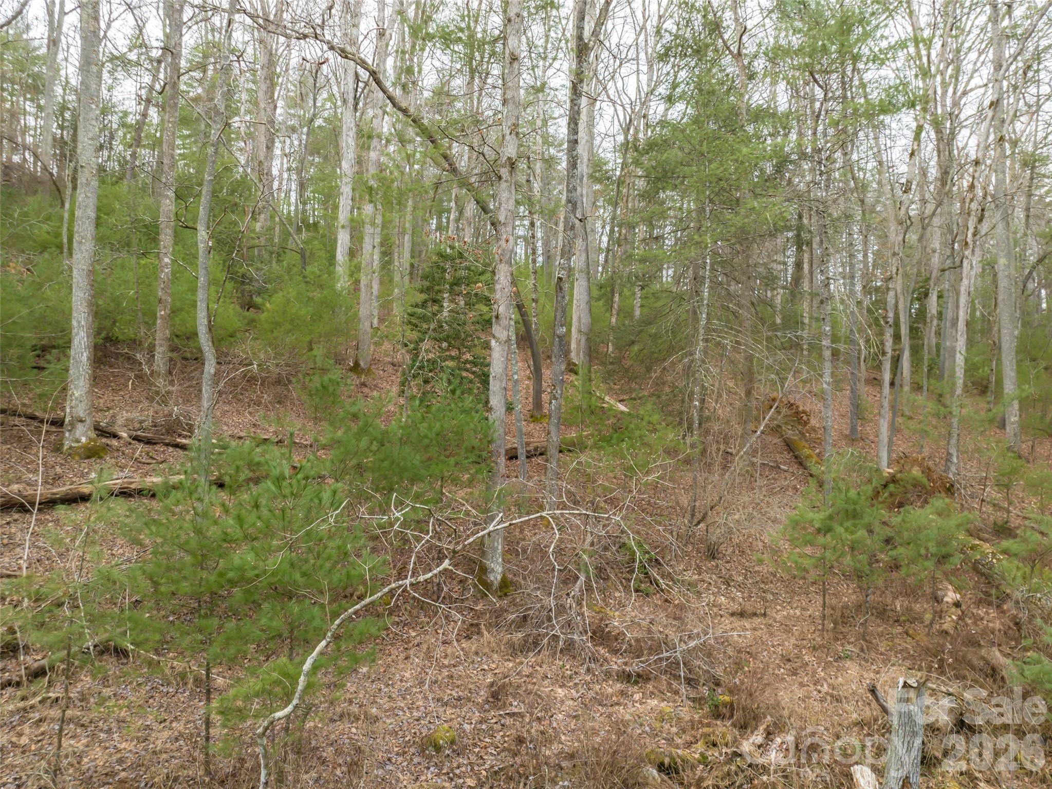 9999 Cedar Hill Drive Asheville NC 28803